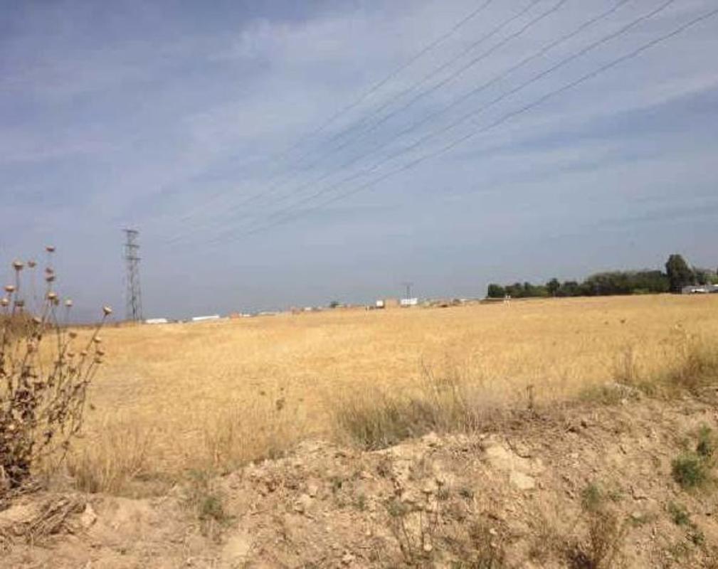 Land for sale in Almonte, Huelva photo 5