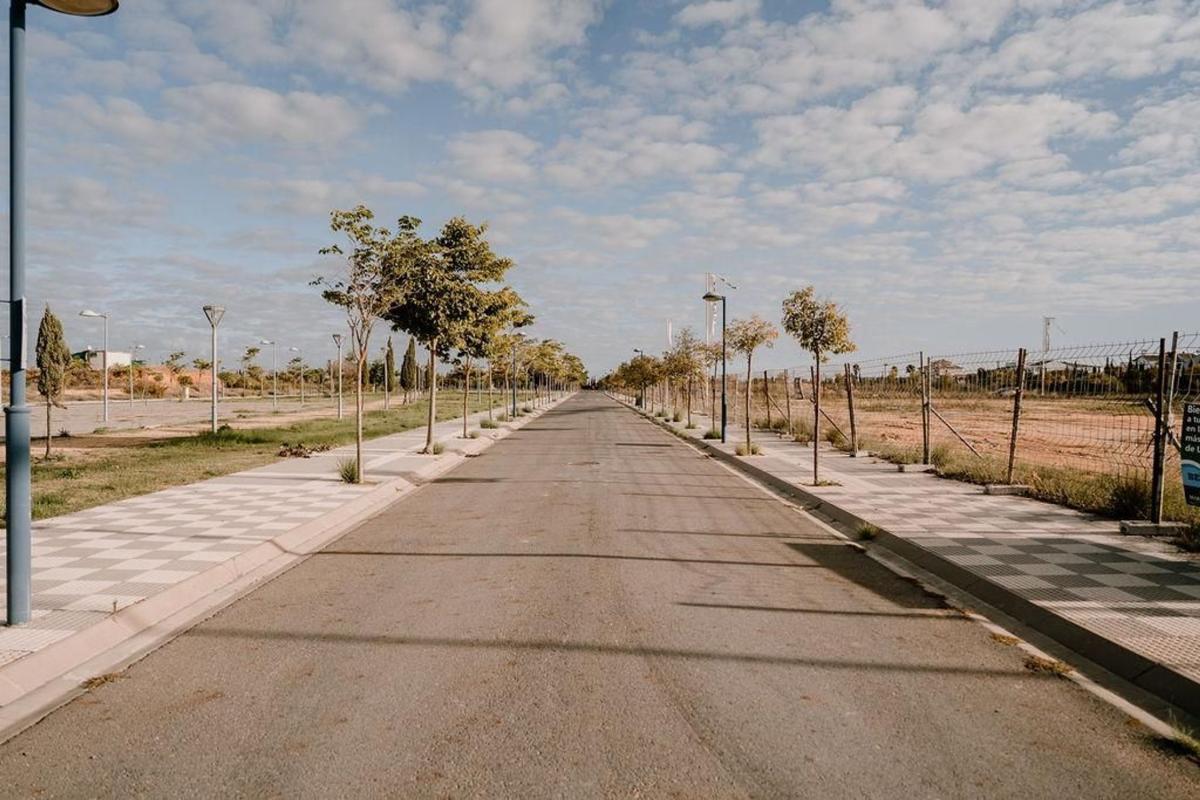 Land for sale in Lepe, Huelva photo 3