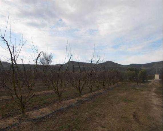 Terreno en Calle Barranco, Velilla de Cinca thumbnail 2