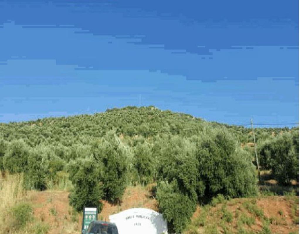 Działka na sprzedaż w Navas de San Juan, Jaén photo 3