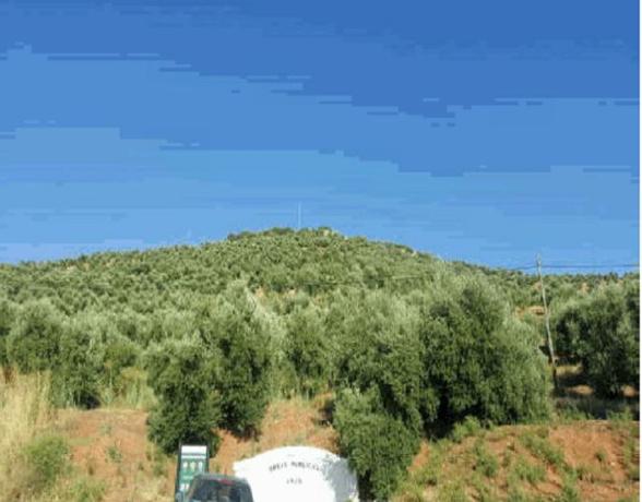 Terreno en Ja-8102, Navas de San Juan thumbnail 2