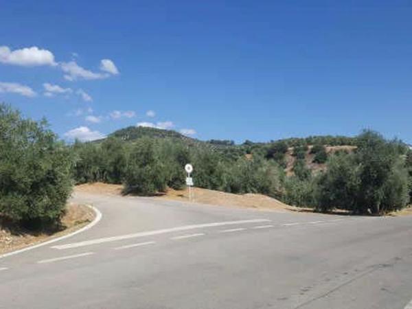 Terreno en Camino del Cerro de la Hoyera, Arroyo del Ojanco photo 1