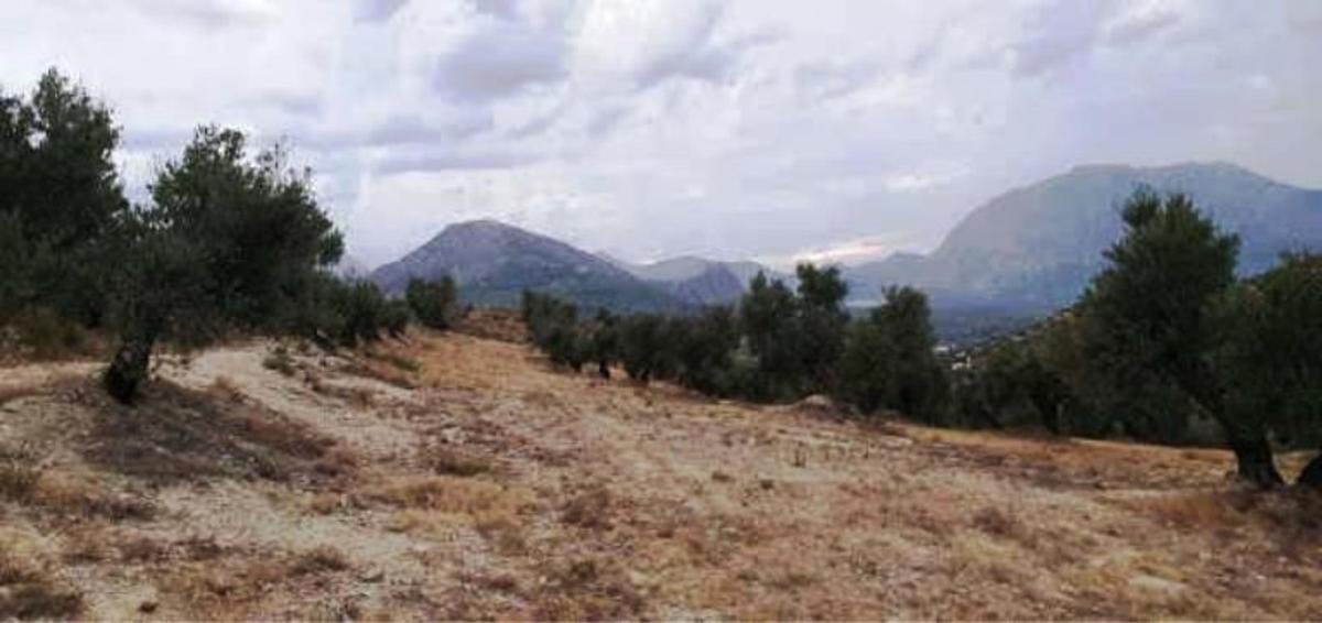 Działka na sprzedaż w Bedmar i Garcíez, Jaén photo 3