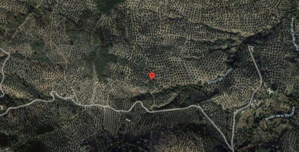Terreno en La Venta del Papero, Fuensanta de Martos photo 1