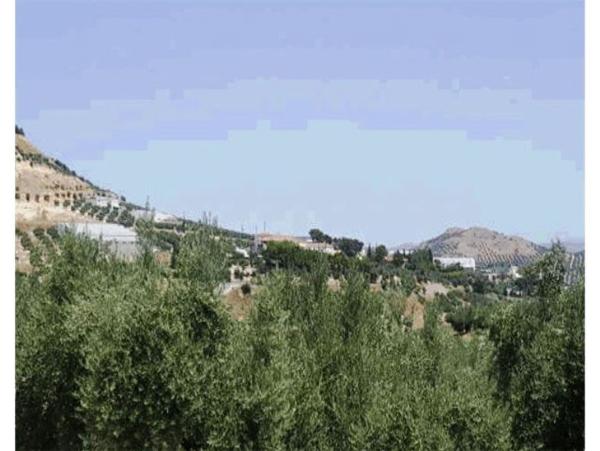 Terreno en Calle Zumel s/n, Alcantarilla - La Glorieta, Jaén photo 4