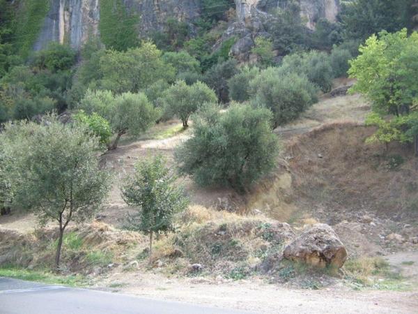 Terreno en Carretera de la Sierra, La Iruela photo 1