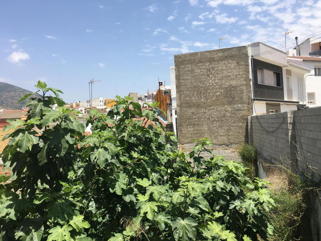 Land for sale in Los Villares, Jaén photo 2
