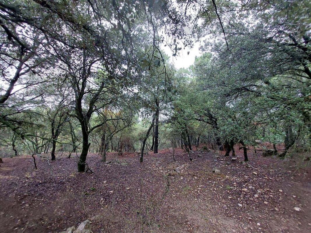 Działka na sprzedaż w La Iruela, Jaén photo 4