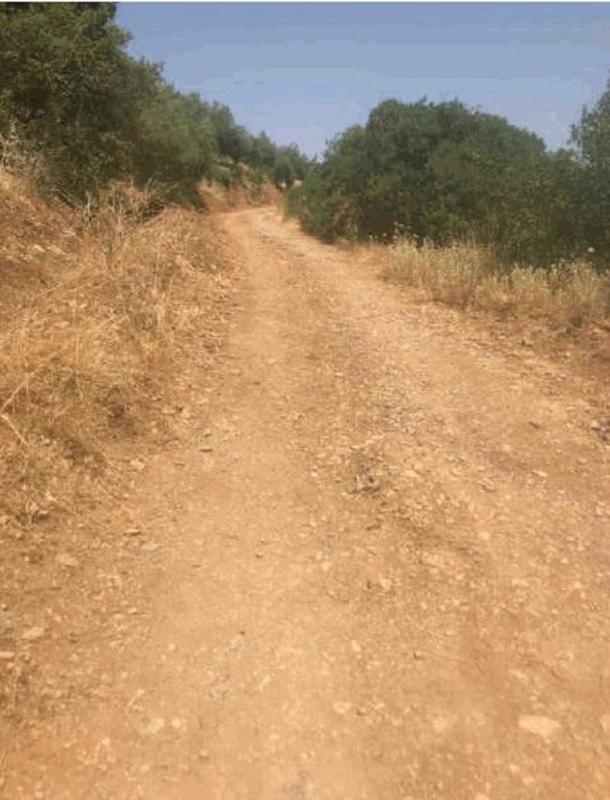 Terreno en venta en Fuensanta de Martos, Jaén photo 2