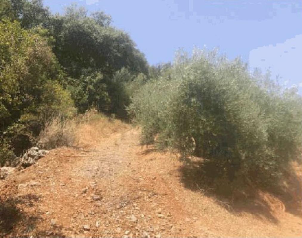 Terreno en venta en Fuensanta de Martos, Jaén photo 4