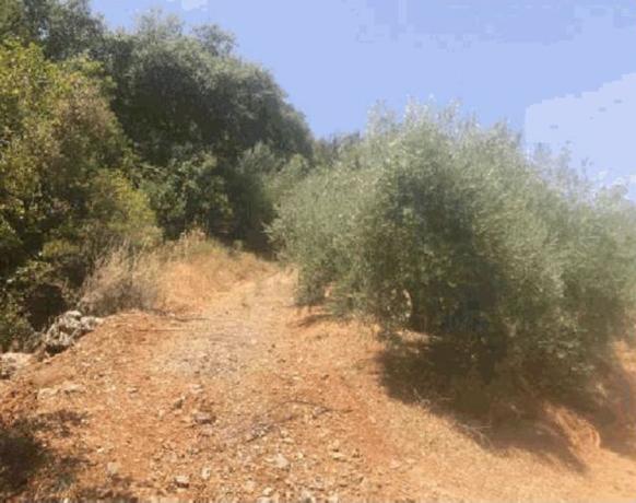 Terreno en La Venta del Papero, Fuensanta de Martos photo 4