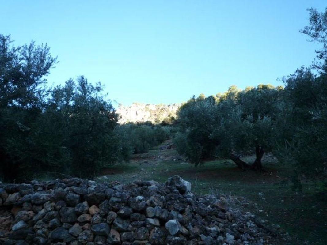 Terreno en venta en Villacarrillo, Jaén photo 1