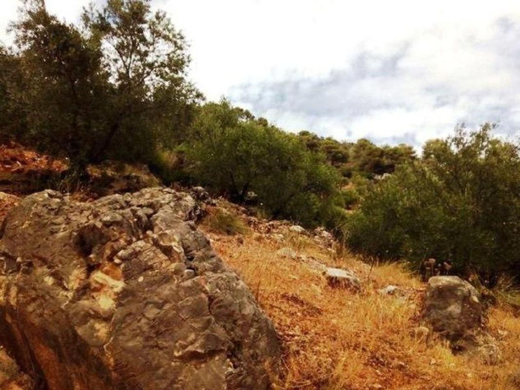 Terreno en venta en Villacarrillo, Jaén photo 4