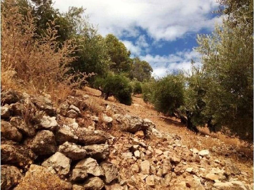 Terreno en venta en Villacarrillo, Jaén photo 5