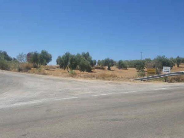 Terreno en Vía, Marmolejo photo 1