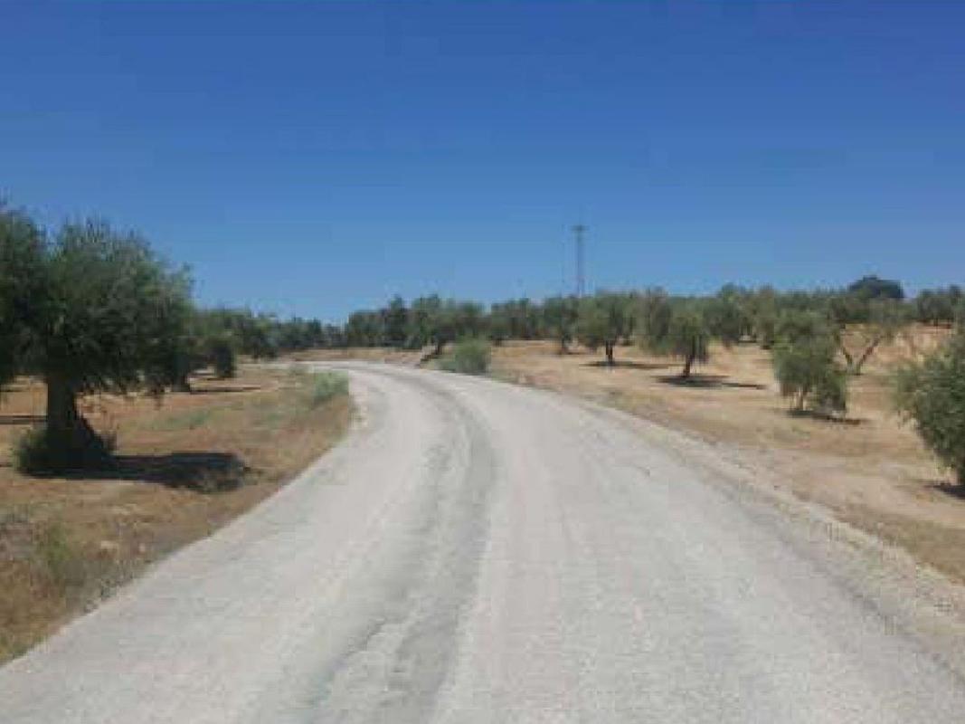 Land for sale in Marmolejo, Jaén photo 2