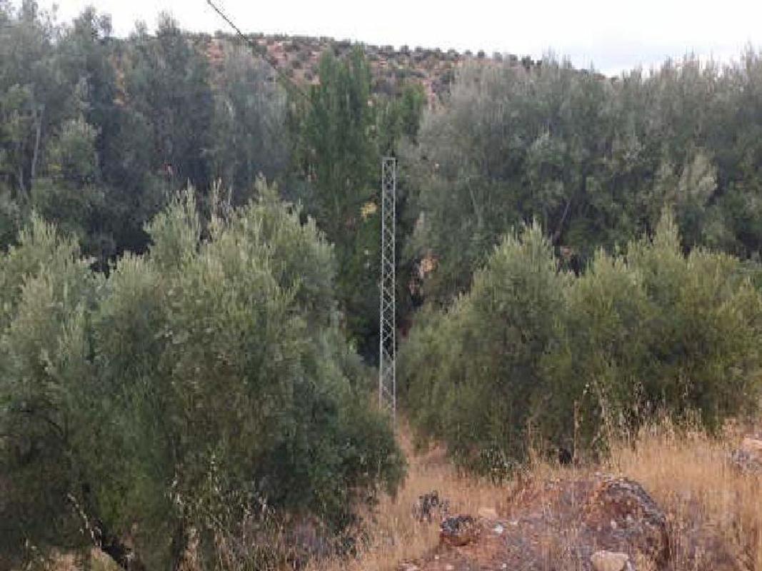 Land for sale in Sabiote, Jaén photo 1