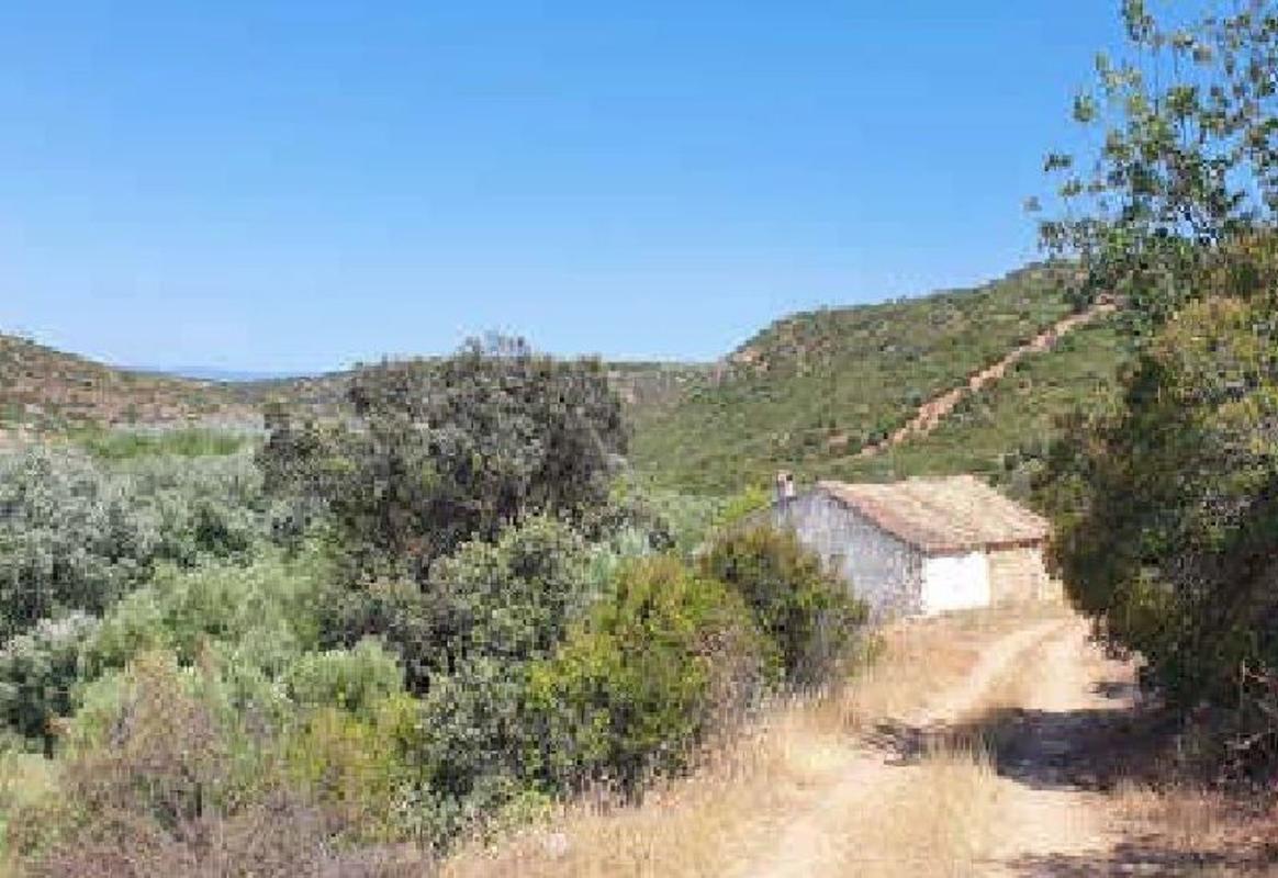 Land for sale in Sabiote, Jaén photo 5