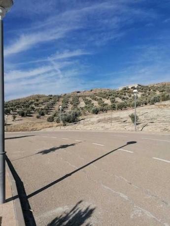 Terreno en Calle los Jilgueros, 12, La Guardia de Jaén photo 3