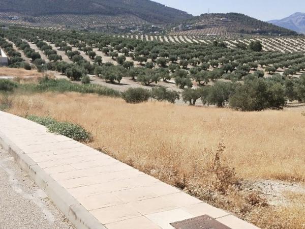 Terreno en Calle los Jilgueros, 9, La Guardia de Jaén photo 3