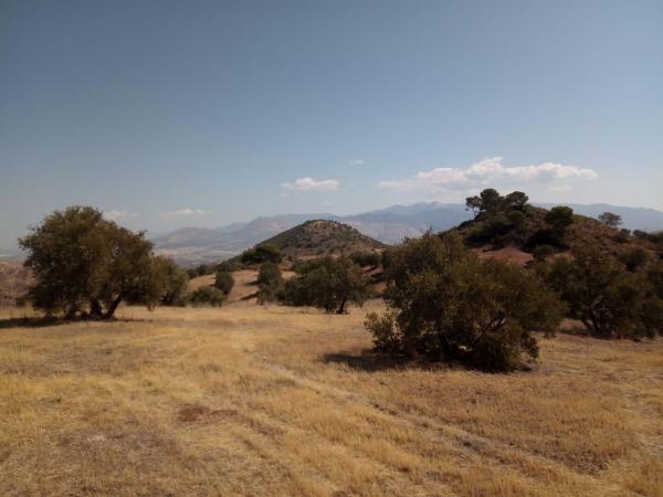 Terreno en Jv-3213, Quesada photo 2