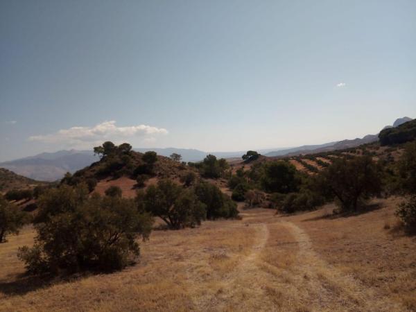 Terreno en Jv-3213, Quesada photo 3