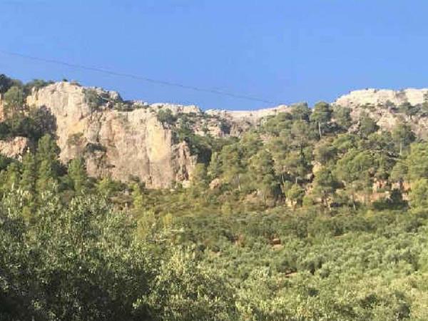 Terreno en Villanueva del Arzobispo photo 1