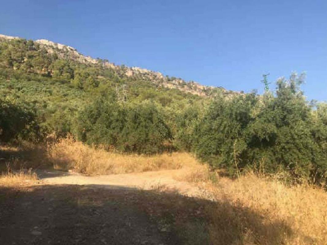 Terreno en venta en Villanueva del Arzobispo, Jaén photo 5