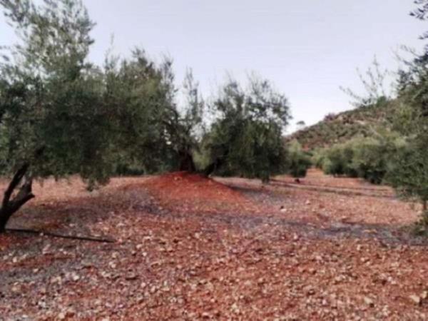 Terreno en Jv-7041, Villanueva del Arzobispo photo 1