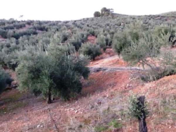 Terreno en Jv-7041, Villanueva del Arzobispo thumbnail 2