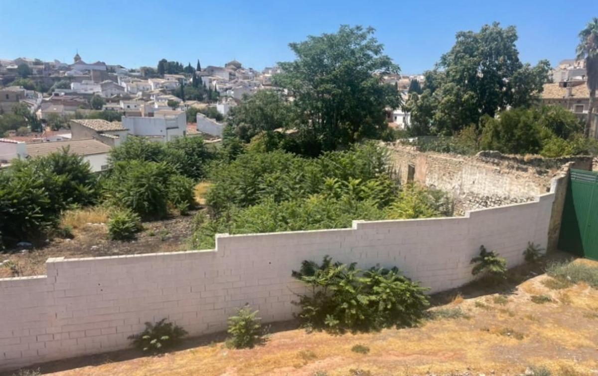 Działka na sprzedaż w Úbeda, Jaén photo 2