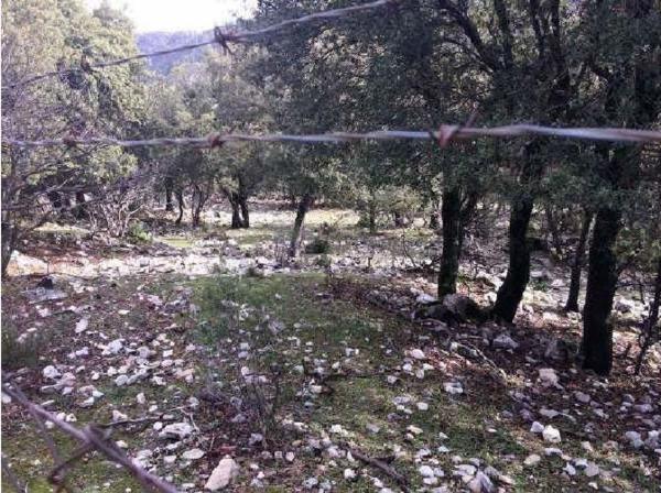 Terreno en Vía, Pozo Alcon photo 2