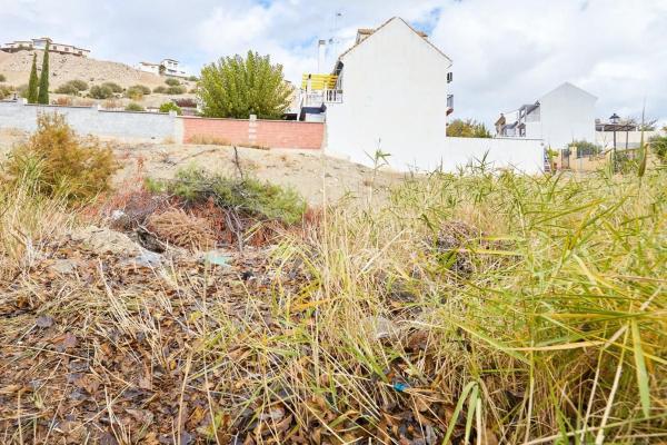 Terreno en Calle Vega del Molinero, 16, La Guardia de Jaén photo 4