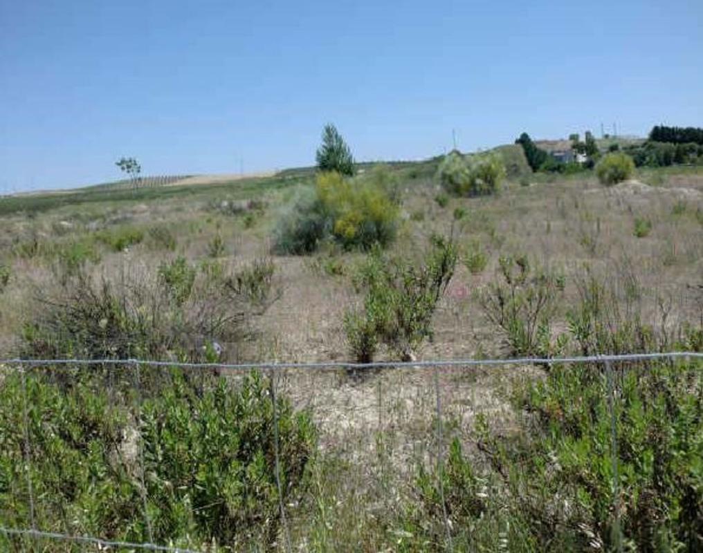 Działka na sprzedaż w Linares, Jaén photo 3