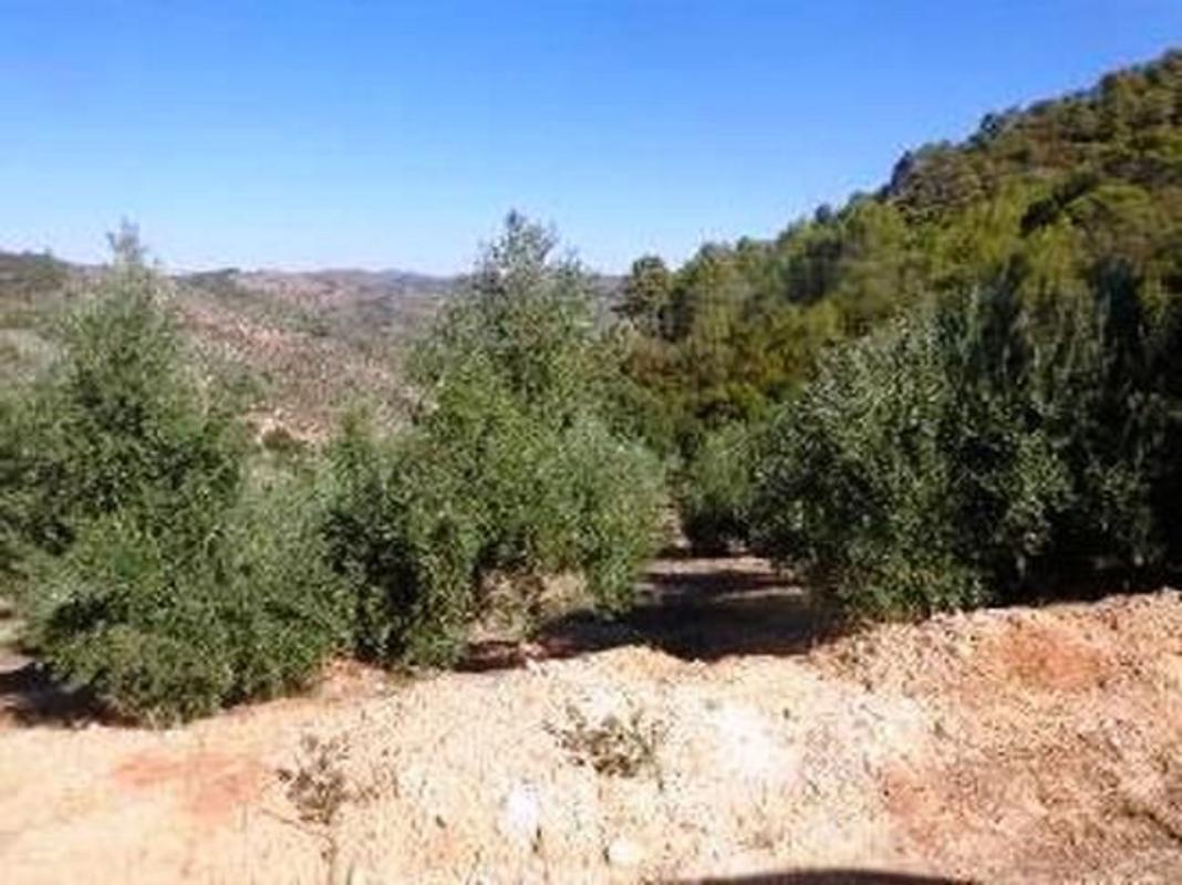 Terreno en venta en Villanueva del Arzobispo, Jaén photo 3