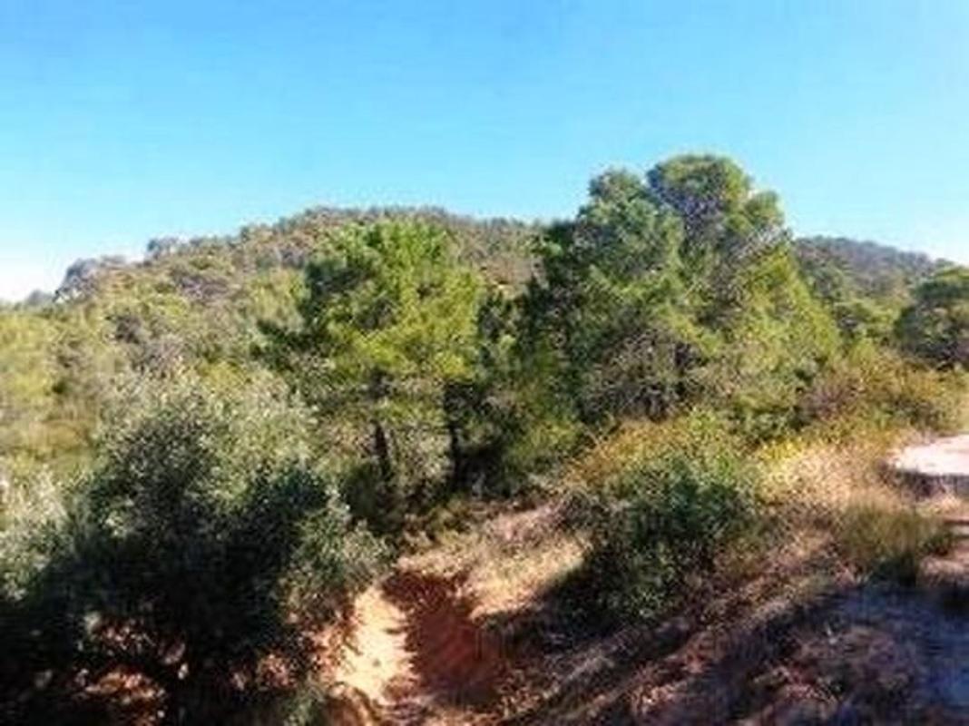 Terreno en venta en Villanueva del Arzobispo, Jaén photo 5