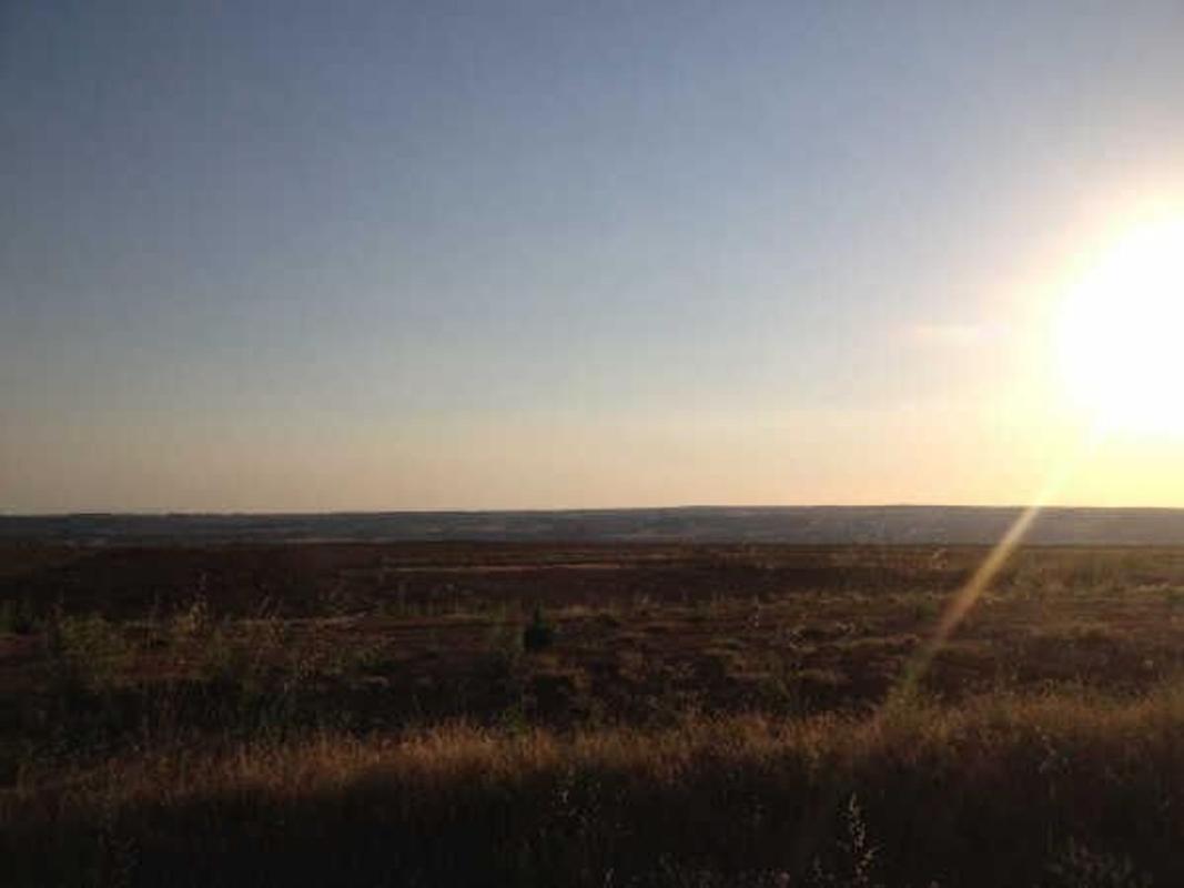 Land for sale in Sariegos, León photo 1