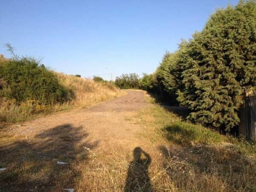 Land for sale in Sariegos, León photo 3