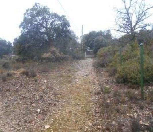 Terreno en C-12, 33, Ager photo 2