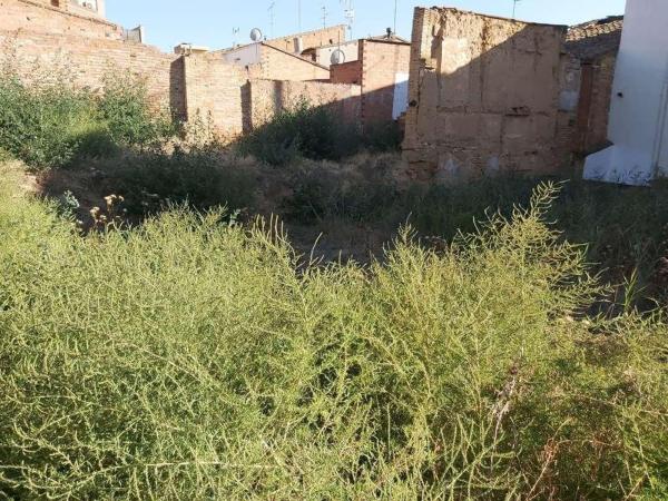 Terreno en Calle de Sant Josep, 22, Almacelles photo 3