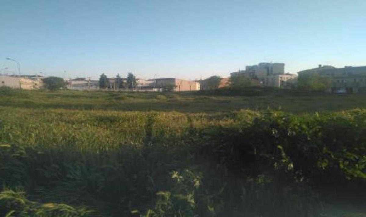 Land for sale in Cervera, Lleida photo 4