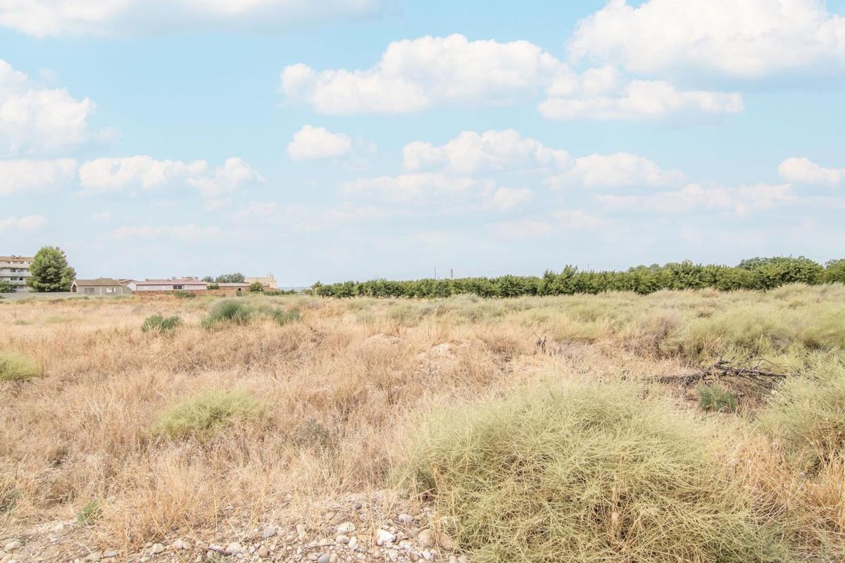 Land for sale in Alcarrás, Lleida photo 1