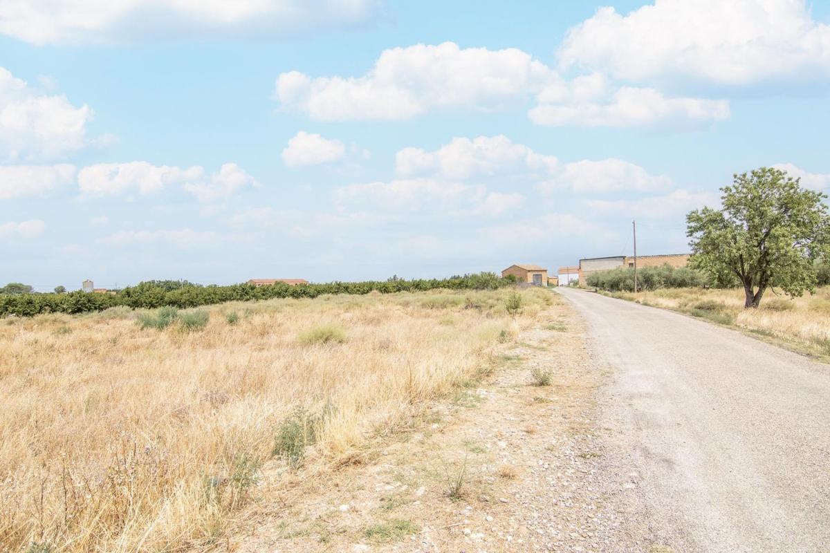 Land for sale in Alcarrás, Lleida photo 3