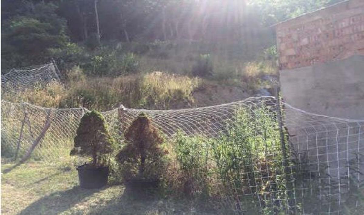 Terreno en venta en Vielha, Lleida photo 3
