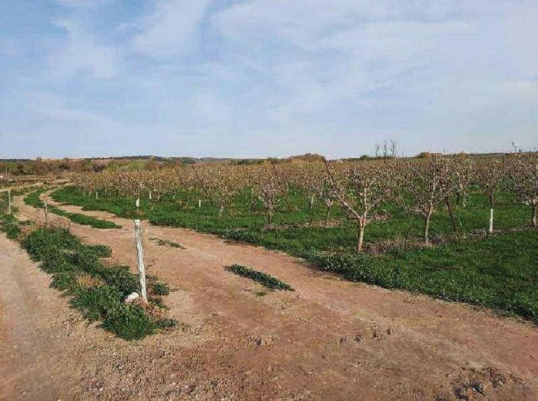 Участок земли на продажу в Альфаро, Ла Риоха photo 4