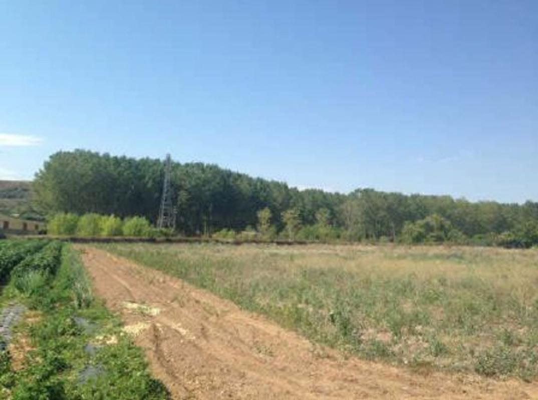 Land for sale in Logroño, La Rioja photo 4