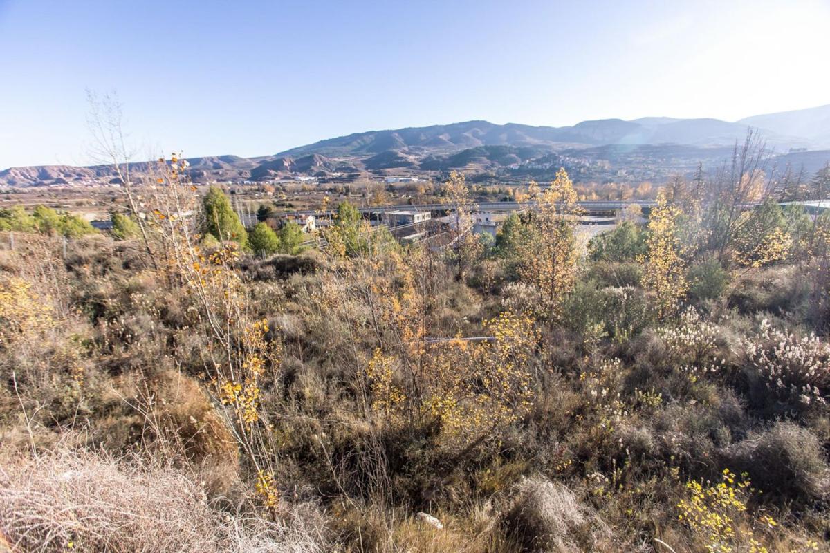 Land for sale in Nalda, La Rioja photo 2