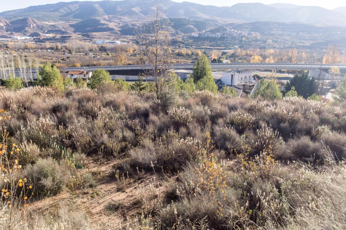 Land for sale in Nalda, La Rioja photo 3