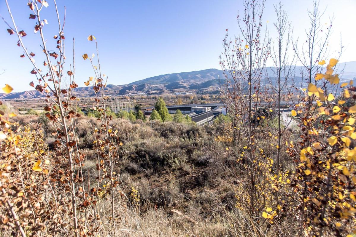 Land for sale in Nalda, La Rioja photo 5