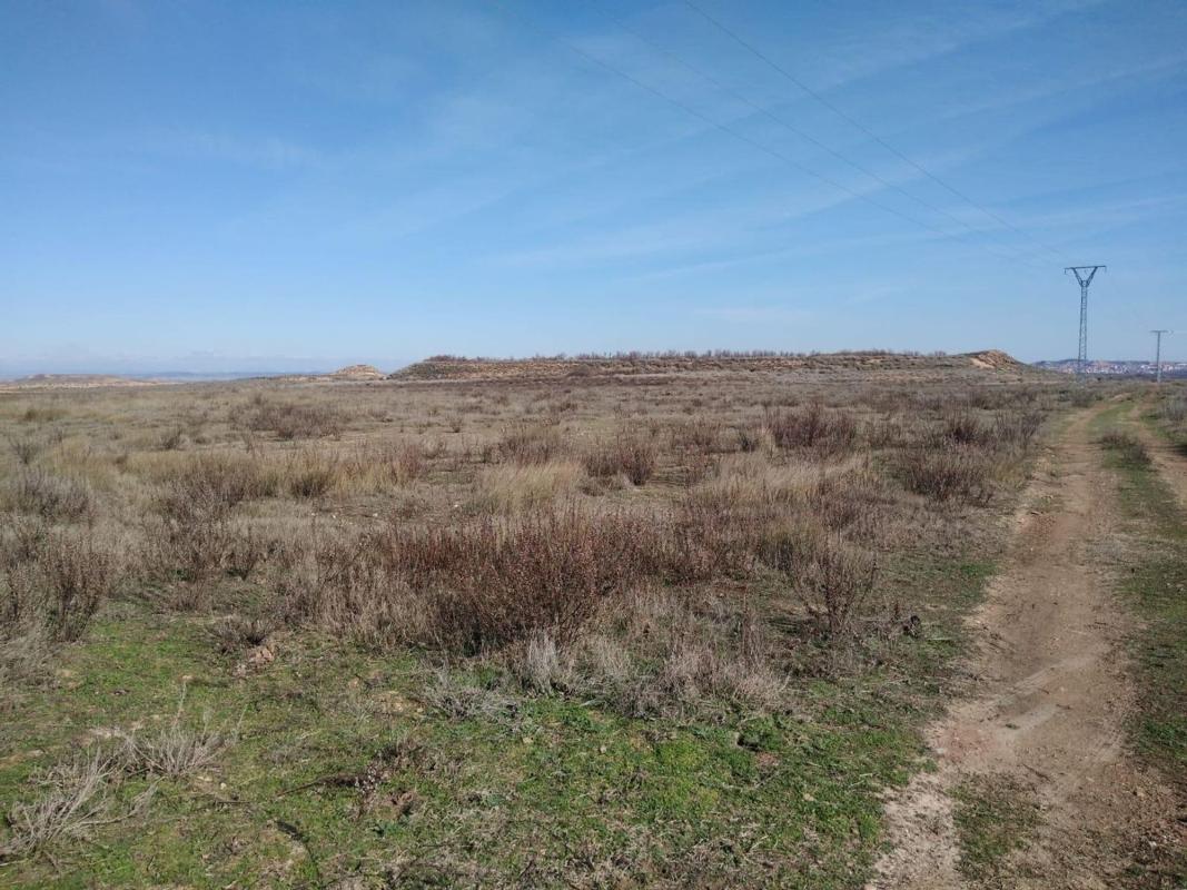 Land for sale in Alfaro, La Rioja photo 1